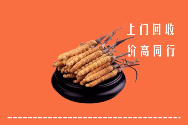 附近收购：普洱市江城县冬虫夏草回收多少钱每克