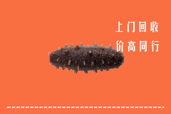 普洱市江城县回收海参