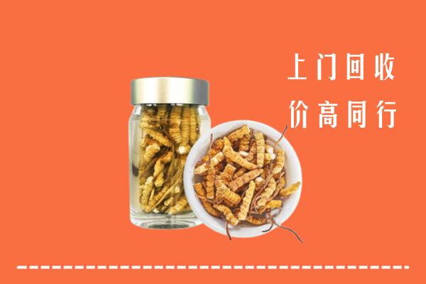 普洱市江城县回收冬虫夏草